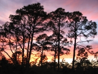 Sunset at Big Lagoon